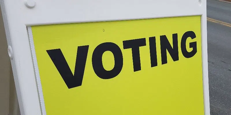 Voter Turnout in NL Highest During Provincial Elections: Vital Signs Report