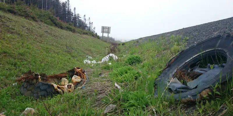 Something Needs To Be Done About Highway Trash, Say Cleanup Organizers