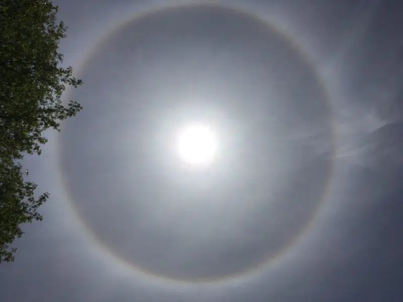 Sun Halo Gives Special Treat For Folks On The Avalon