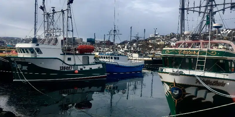 New Report Makes Recommendations on Fish Price Setting Process