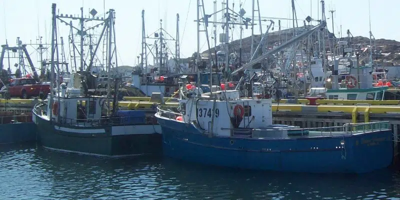 FFAW Calling for Stronger Support from Government to Address Challenges Facing Inshore Fishery
