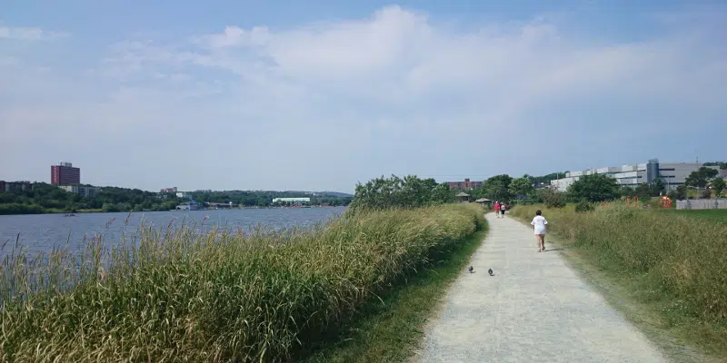 St. John's Looking at Allowing Paddling Activities on Quidi Vidi Lake 