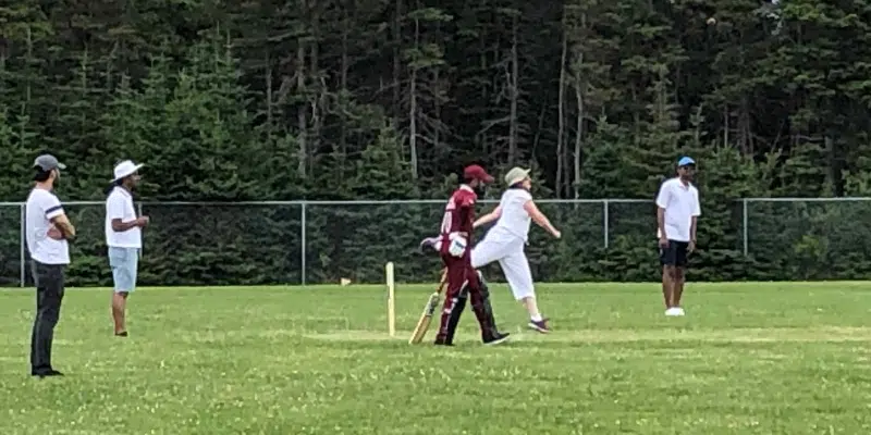 Cricket Returns to Harbour Grace After 85 Years