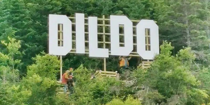 Town Urging Visitors to Stay Away from Dildo Sign