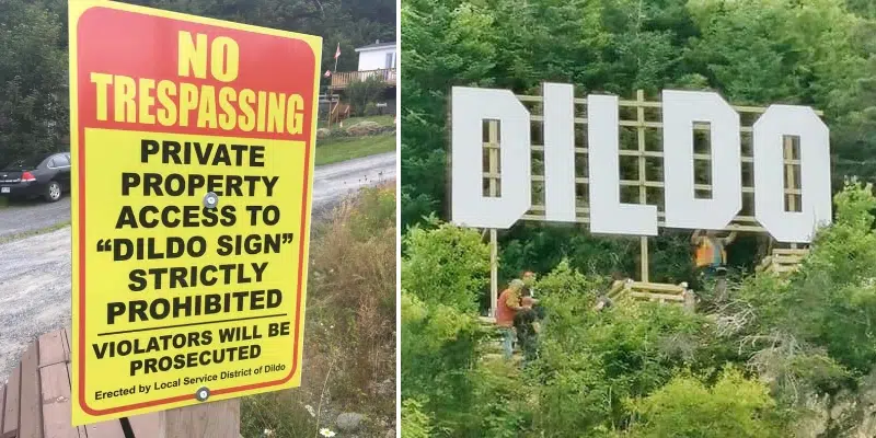 Keep a Safe Distance from Dildo Sign, Town Urges