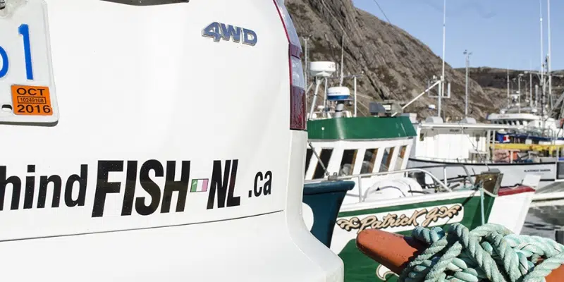 FISH-NL Extends Membership Drive, FFAW Calls it a 'Desperate Attempt'