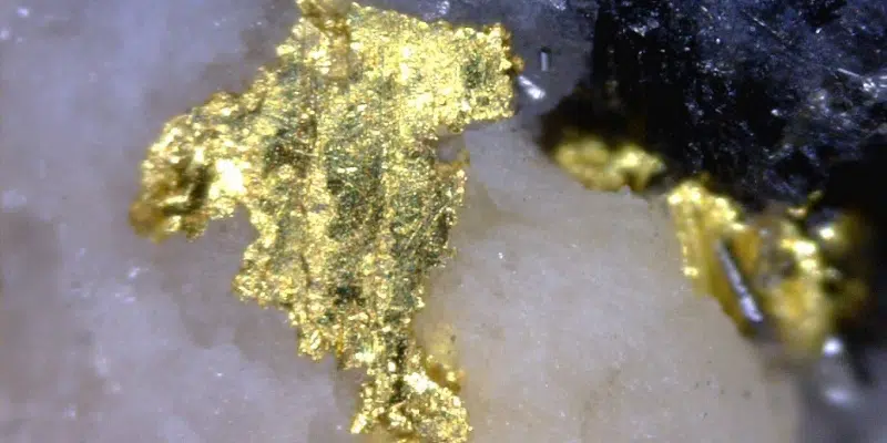 Central Newfoundland Seeing Economic Benefits of Gold Mining