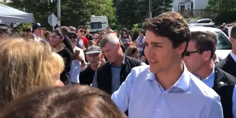 August 10, 2019 - Justin Trudeau remains the top choice for Prime Minister among decided voters across the province, according to the most recent MQO Research poll.   Do you think he will win a second term as Prime minister?