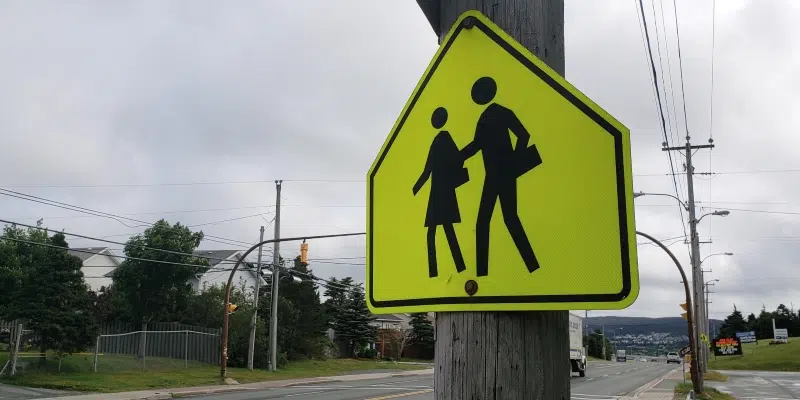 Pedestrians Need to be Just as Engaged in Safety as Drivers: Safety NL