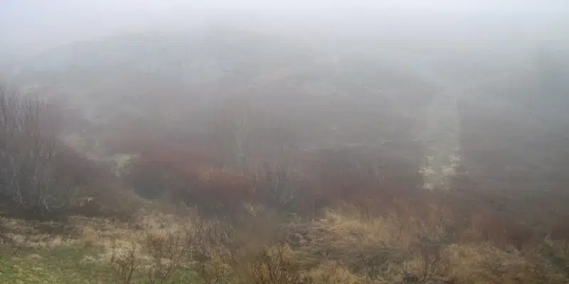 No Let Up in RDF for Metro: Environment Canada