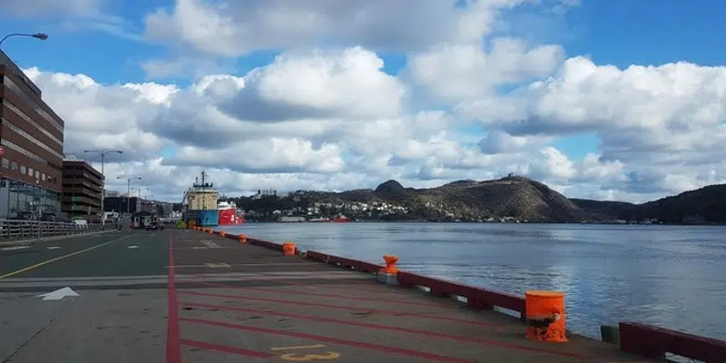 Naval Reserve Division Conducting Training Exercises in St. John's Harbour