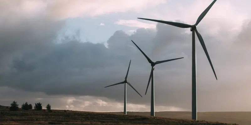 West Coast Wind Farm Proposal Filed, Registered With Province