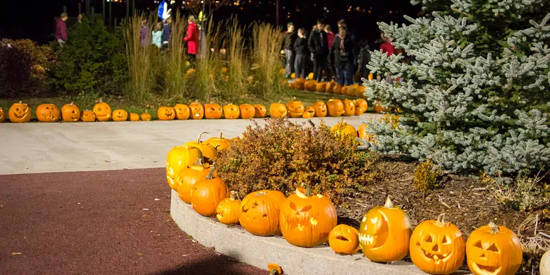 Pumpkin Walk to Haunt Bannerman Park This Friday