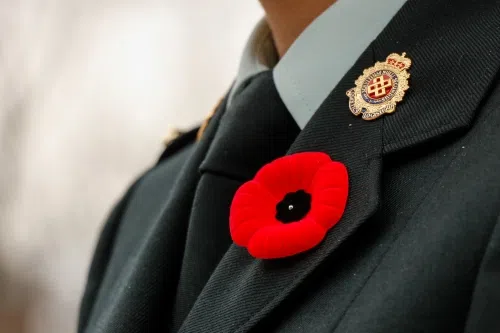 Government Offices Closed Rec. Facilities Open on Remembrance Day