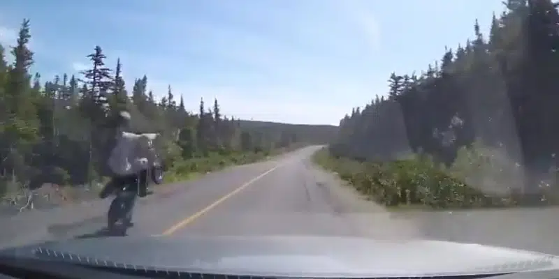 Stunting Dirt Biker Caught on Video