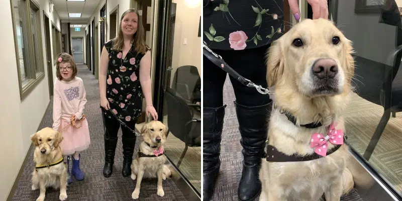 CNIB Celebrates First Local Graduating Class of Guide Dogs
