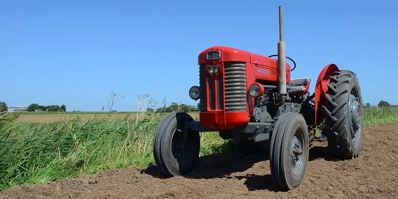 NL Young Farmers Gathering in Clarenville This Weekend