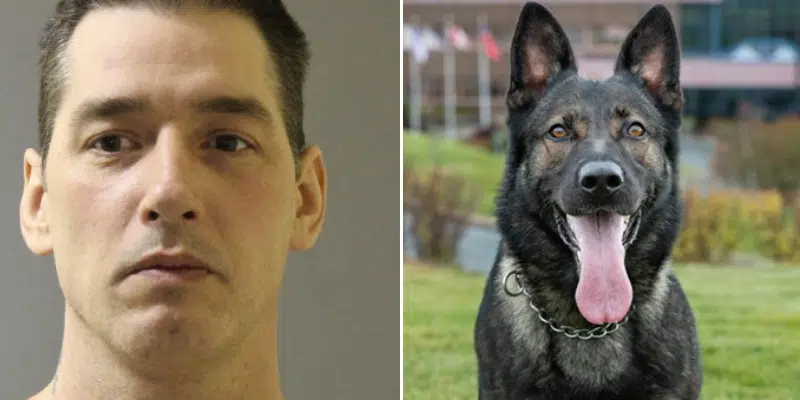 Extensive Search Involving Police Dog Results in Arrest of West Coast Fugitive