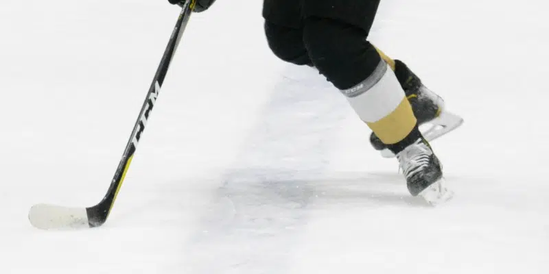 Newfoundland Growlers Continue Win Streak