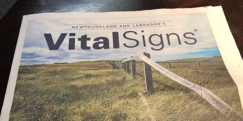 Harris Centre Examines Province's Well-Being in Latest Vital Signs Report