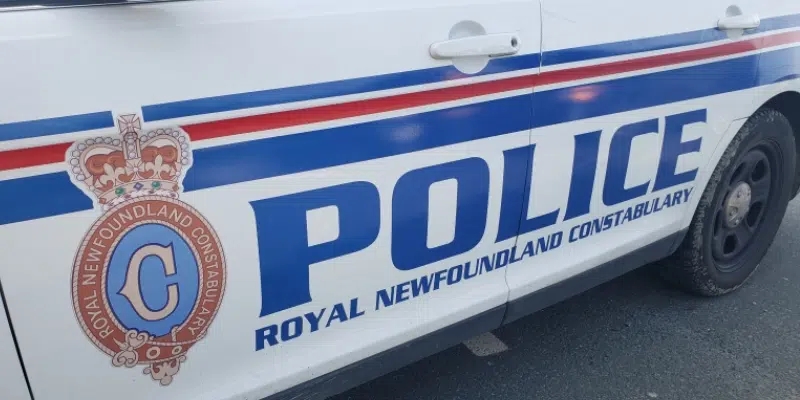 RNC Seeks Public Assistance in Investigating Suspicious Vehicle Fire in Goulds