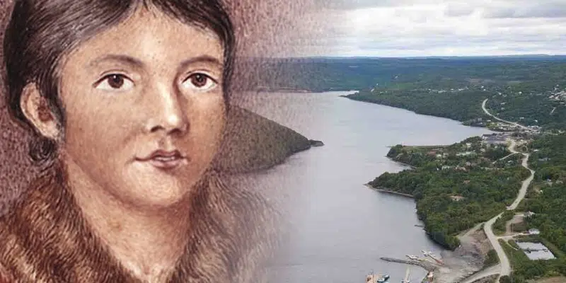 Secrets of Beothuk DNA Studied Through Miawpukek First Nation, Terra Nova Genomics Partnership