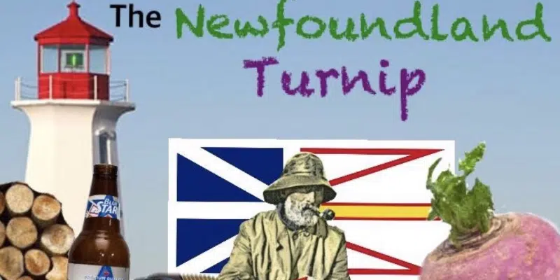 Newfoundland Turnip Bringing the Homegrown Memes to Over 160,000 People and Counting