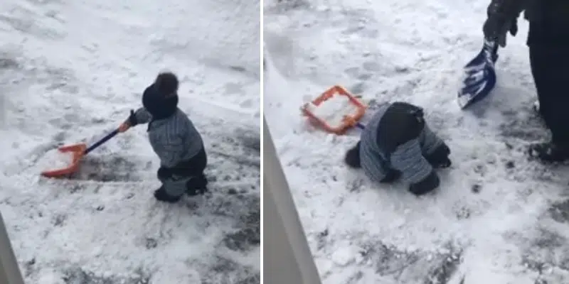 "The Struggle is Real": Viral Video Captures Feeling of Shoveling Out After Winter Storm