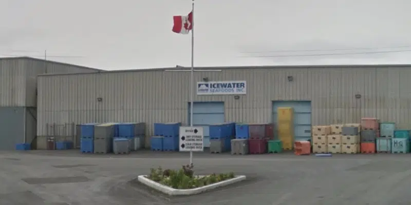 Icewater Seafoods President Wants to See Resumption of Commercial Cod Fishery