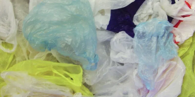 La Cour suprême annule l'interdiction du plastique à usage unique ;  Les écologistes appellent à l’action malgré l’appel