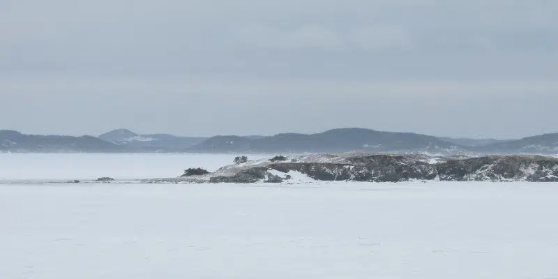 NL Seeing Less Sea Ice This Year: Environment Canada