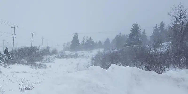 High Winds, Heavy Snow, Storm Surge: Significant Storm Takes Aim at Eastern Newfoundland