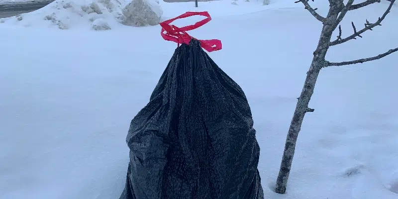 St. John's to Implement Garbage Bag Limit in New Year