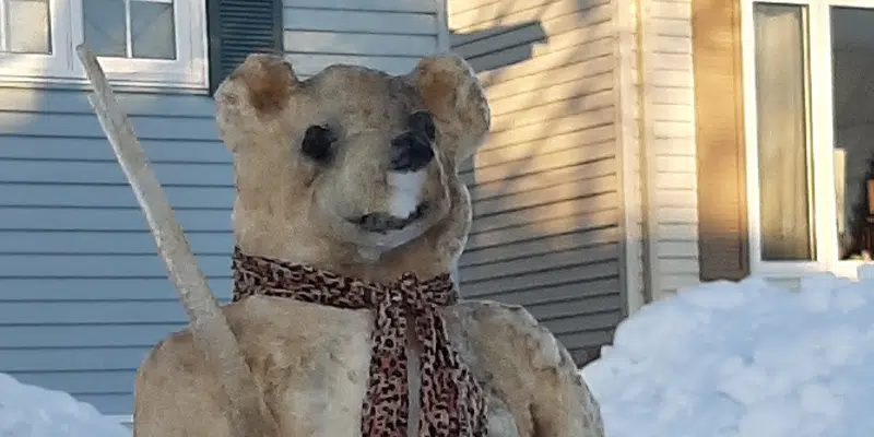 Bearing the SOE with Snow Sculptures 