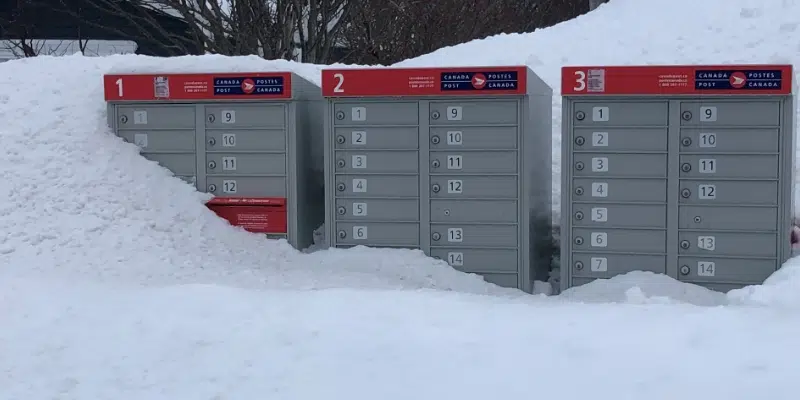 Metro-Area Mail Delivery Should Be Back as Soon as Monday: CUP-W