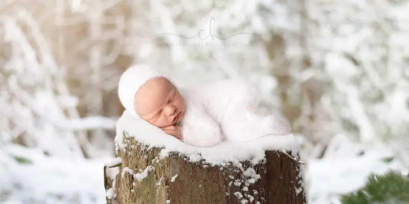 Baby Snow, Born at the Height of Storm, Captured on Film by Local Photographer