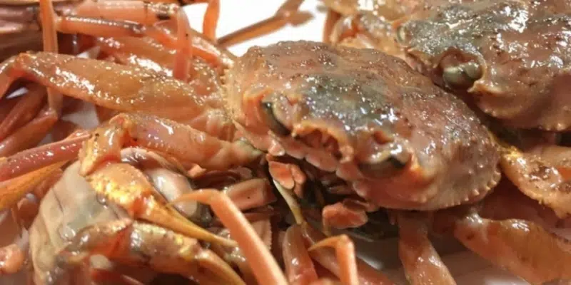 Province Hoping Market Conditions Improve Following Meetings on Crab Price