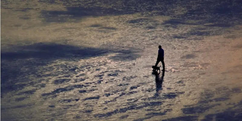 Self Isolation and Social Distancing: What Does it Mean?