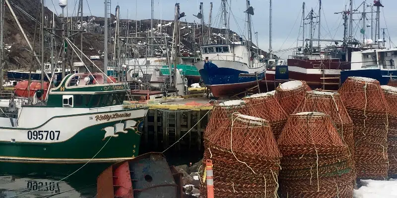 Oceana Canada Calling on Ottawa to Develop Plan to Rebuild Depleted Fish Stocks