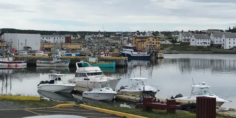 Bonavista Mayor Stresses Need for Clear Message as Tourism Industry Faces the Unknown