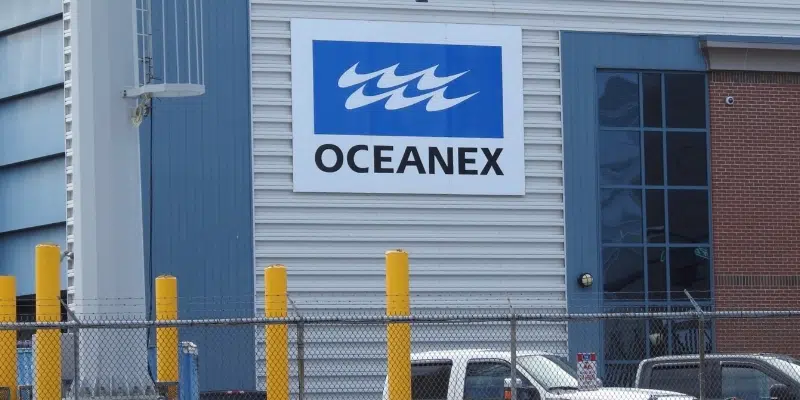 Union Calls for Federal Support for Oceanex, Other Shippers Willing to Step Up