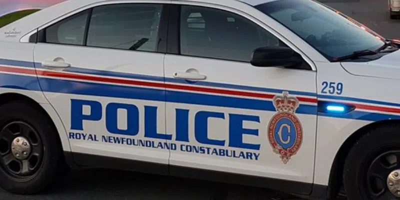 Woman Arrested for Assaulting Police Officers, Public Intoxication in St. John's