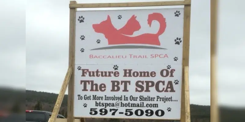 Saltwater Community Association Fundraising for SPCA