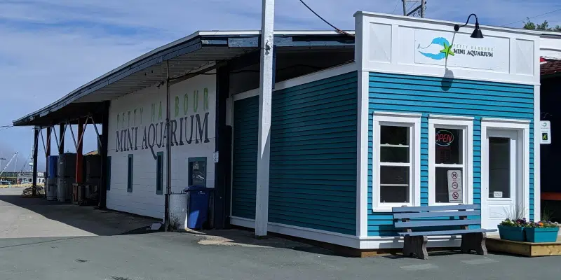 Petty Harbour Mini Aquarium Shares Tips for Celebrating World Oceans Day