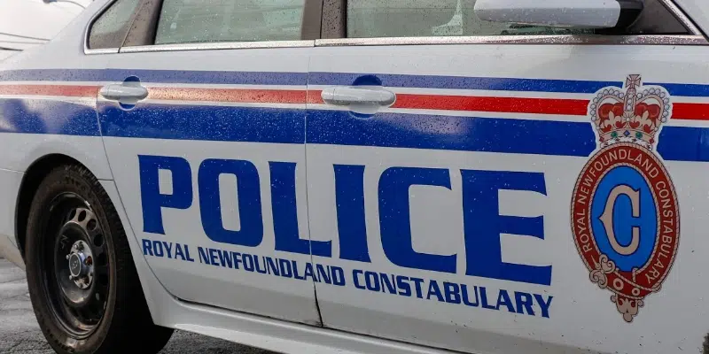 Women Arrested Following Theft From Downtown St. John's Store