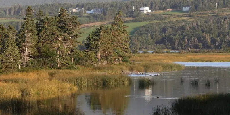 Nature Conservancy of Canada Making Progress Towards Fundraising Goal