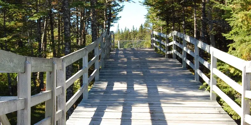 Salmonier Nature Park Opens for Season