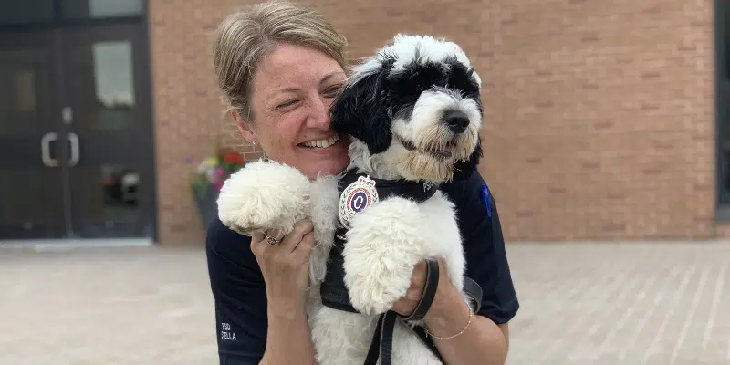 RNC Support Dog Making Difference for Constable, Community