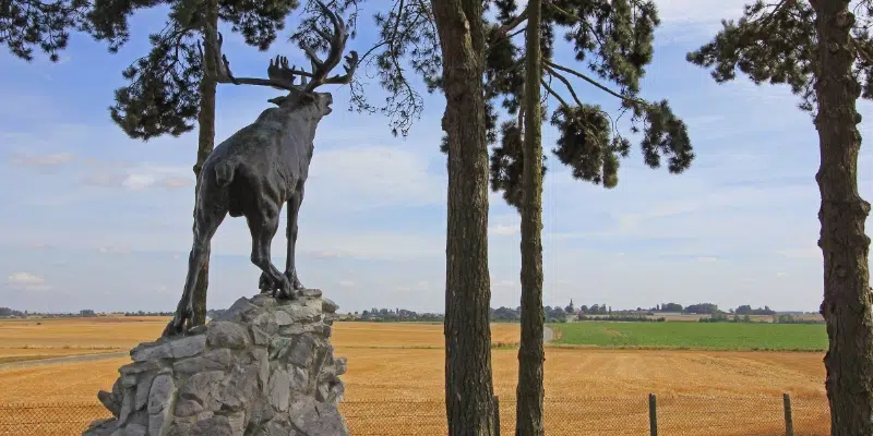 Provincial Partnership to Complete Trail of the Caribou with Statue in Gallipoli
