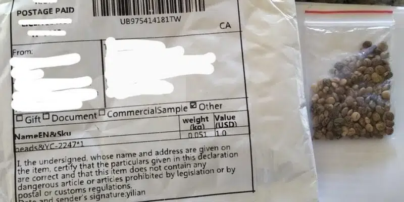 Unsolicited Seed Packages Could Be Linked to Brushing Scam